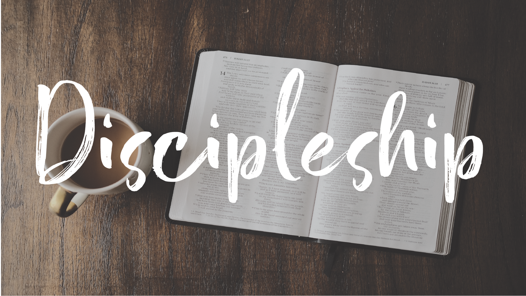 discipleship resources